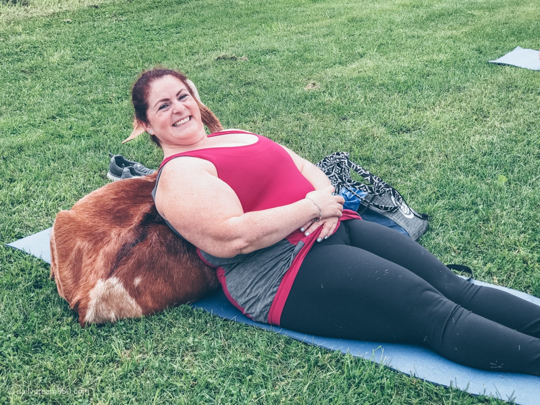 Sleeping goat on my mat during Yoga