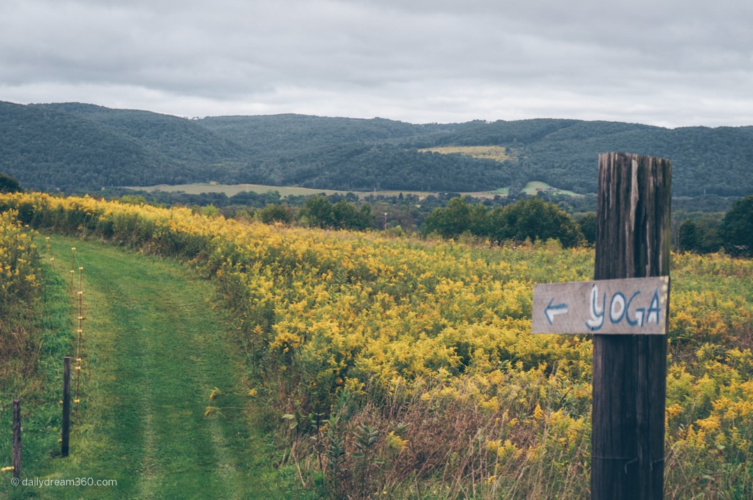 Path through farm at Ziegenvine with yoga sign